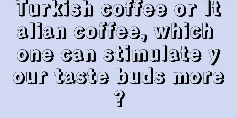 Turkish coffee or Italian coffee, which one can stimulate your taste buds more?