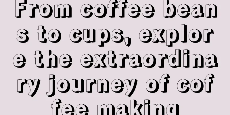 From coffee beans to cups, explore the extraordinary journey of coffee making