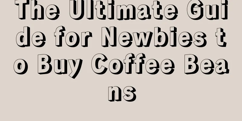 The Ultimate Guide for Newbies to Buy Coffee Beans