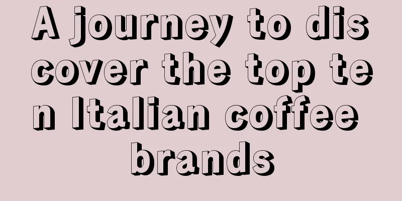 A journey to discover the top ten Italian coffee brands