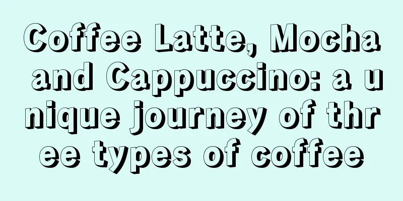 Coffee Latte, Mocha and Cappuccino: a unique journey of three types of coffee