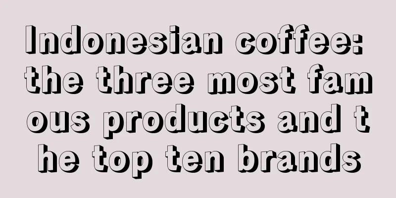 Indonesian coffee: the three most famous products and the top ten brands