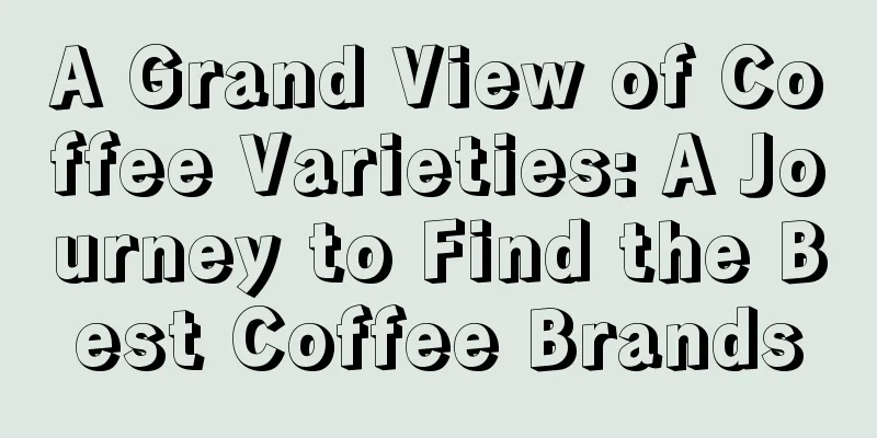 A Grand View of Coffee Varieties: A Journey to Find the Best Coffee Brands