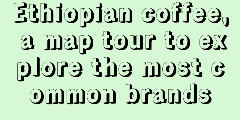 Ethiopian coffee, a map tour to explore the most common brands