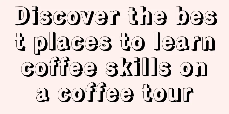 Discover the best places to learn coffee skills on a coffee tour