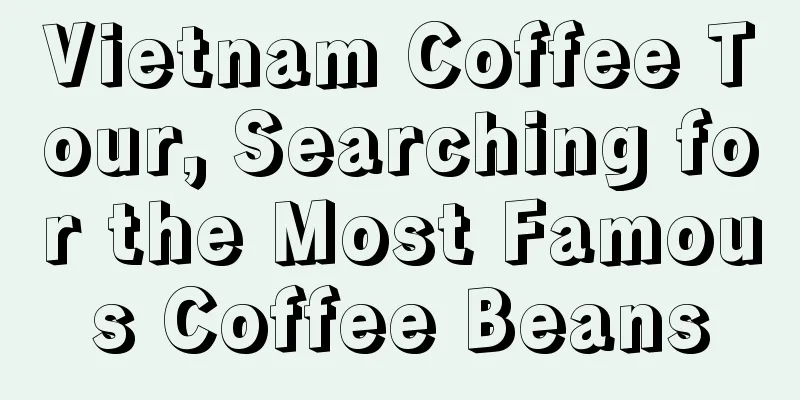 Vietnam Coffee Tour, Searching for the Most Famous Coffee Beans