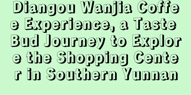 Diangou Wanjia Coffee Experience, a Taste Bud Journey to Explore the Shopping Center in Southern Yunnan