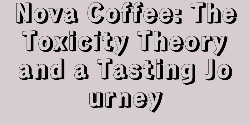 Nova Coffee: The Toxicity Theory and a Tasting Journey