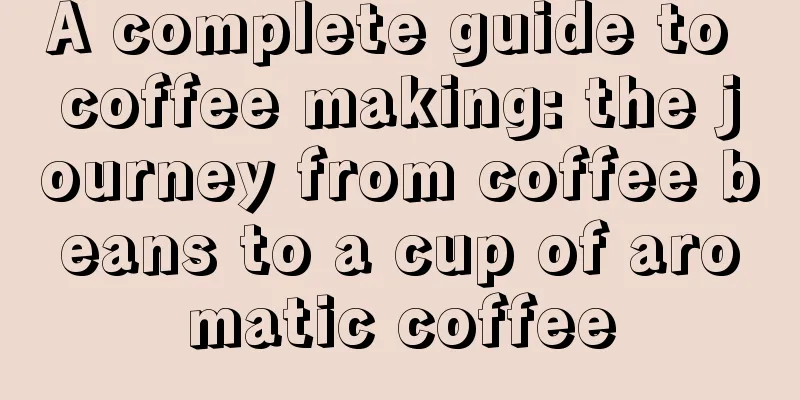 A complete guide to coffee making: the journey from coffee beans to a cup of aromatic coffee