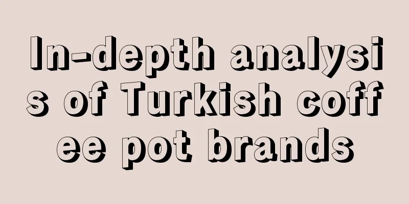 In-depth analysis of Turkish coffee pot brands