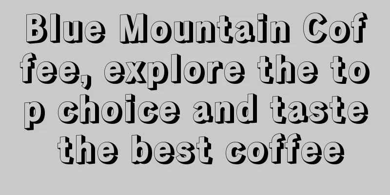 Blue Mountain Coffee, explore the top choice and taste the best coffee