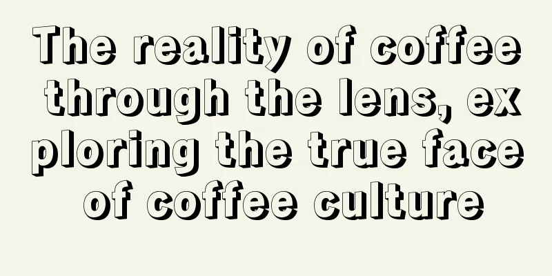 The reality of coffee through the lens, exploring the true face of coffee culture