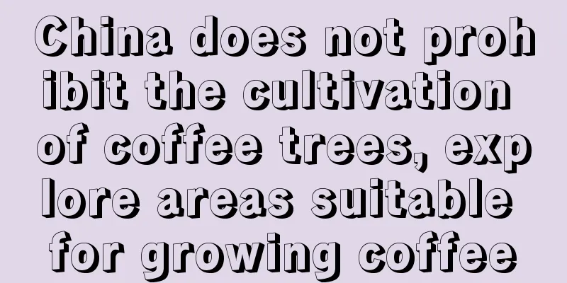 China does not prohibit the cultivation of coffee trees, explore areas suitable for growing coffee