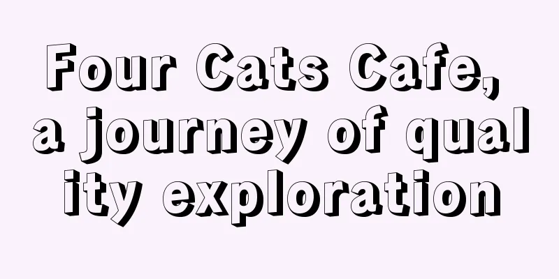 Four Cats Cafe, a journey of quality exploration