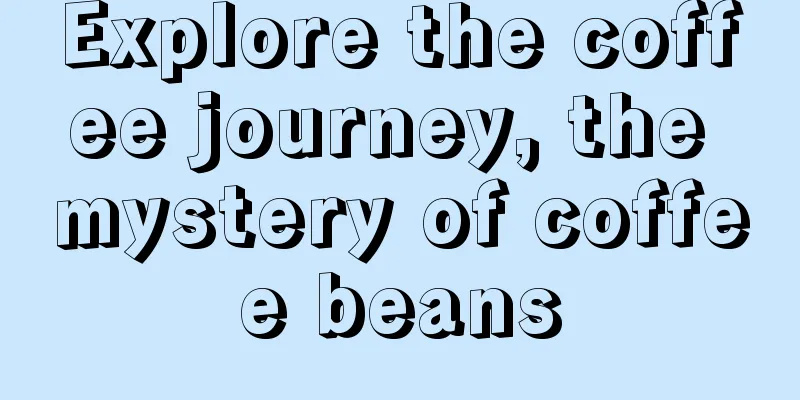 Explore the coffee journey, the mystery of coffee beans