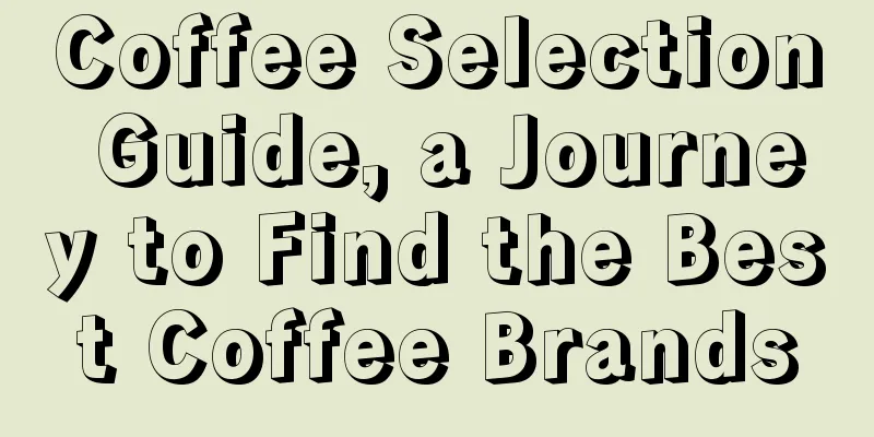 Coffee Selection Guide, a Journey to Find the Best Coffee Brands