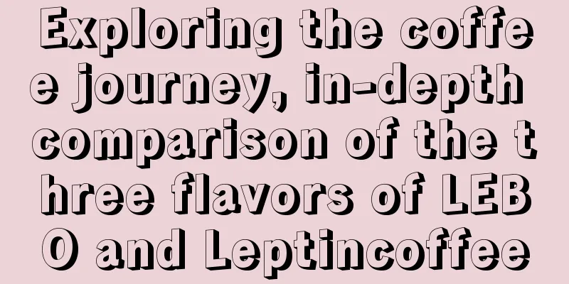 Exploring the coffee journey, in-depth comparison of the three flavors of LEBO and Leptincoffee