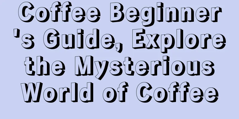 Coffee Beginner's Guide, Explore the Mysterious World of Coffee