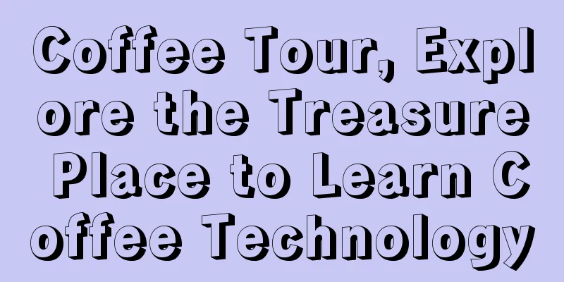 Coffee Tour, Explore the Treasure Place to Learn Coffee Technology