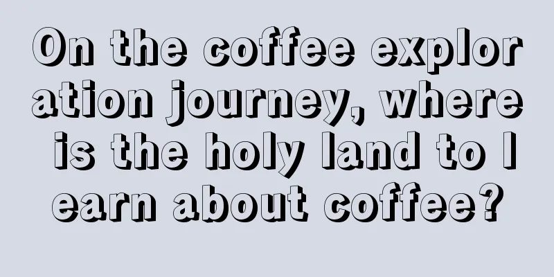 On the coffee exploration journey, where is the holy land to learn about coffee?