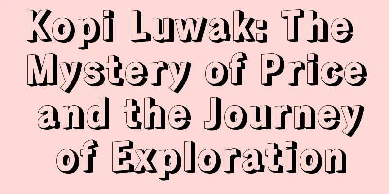 Kopi Luwak: The Mystery of Price and the Journey of Exploration