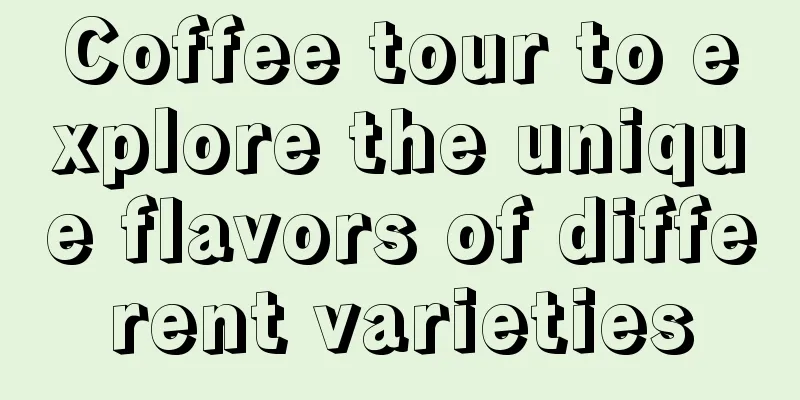 Coffee tour to explore the unique flavors of different varieties