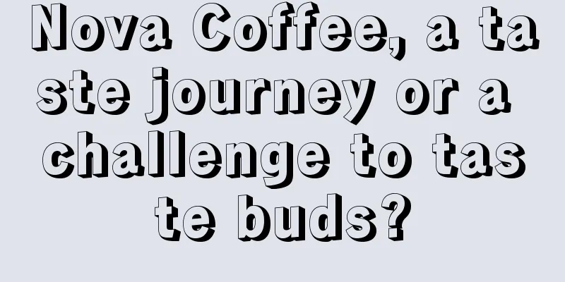 Nova Coffee, a taste journey or a challenge to taste buds?