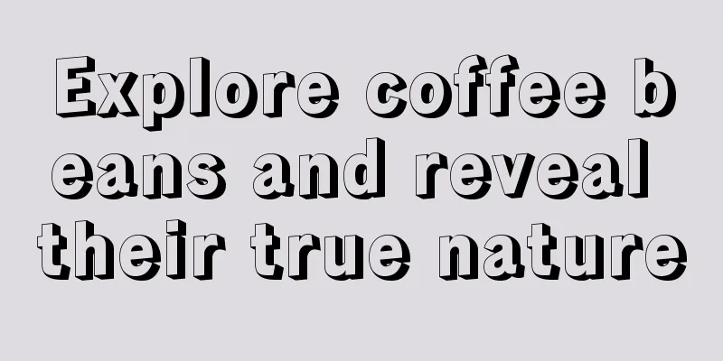 Explore coffee beans and reveal their true nature