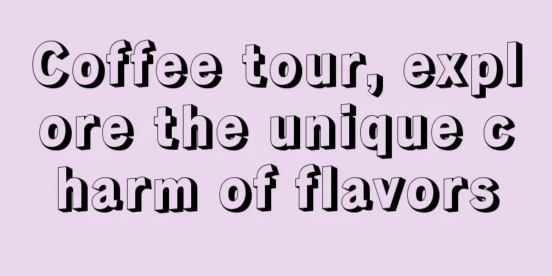 Coffee tour, explore the unique charm of flavors