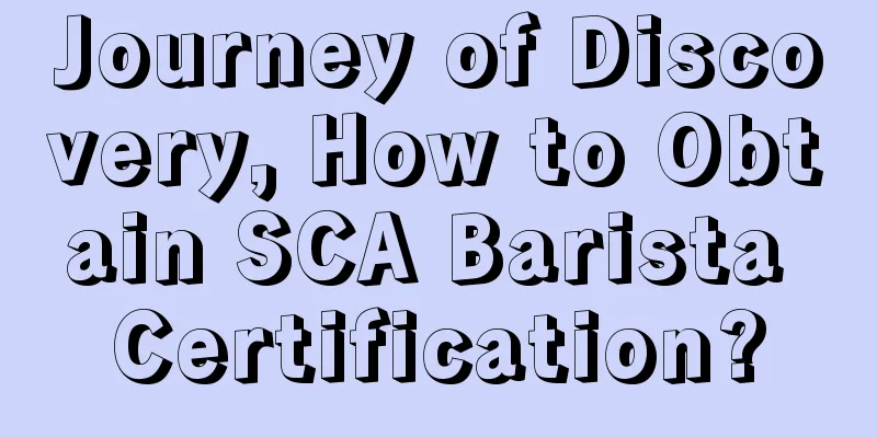 Journey of Discovery, How to Obtain SCA Barista Certification?