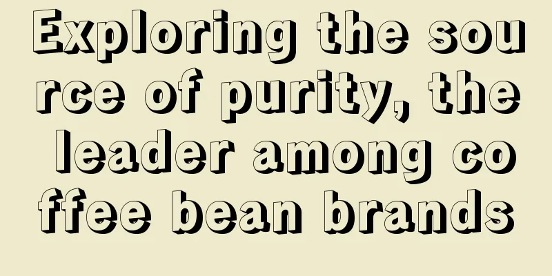 Exploring the source of purity, the leader among coffee bean brands