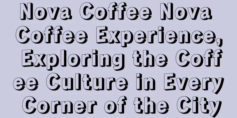 Nova Coffee Nova Coffee Experience, Exploring the Coffee Culture in Every Corner of the City