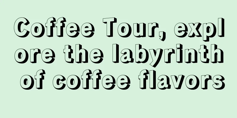 Coffee Tour, explore the labyrinth of coffee flavors