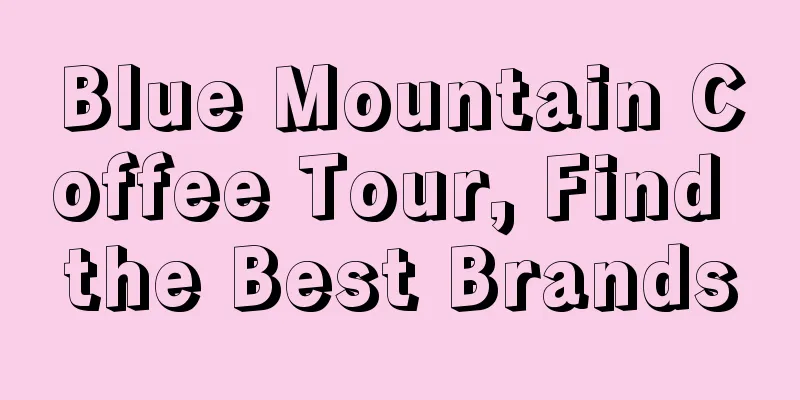 Blue Mountain Coffee Tour, Find the Best Brands