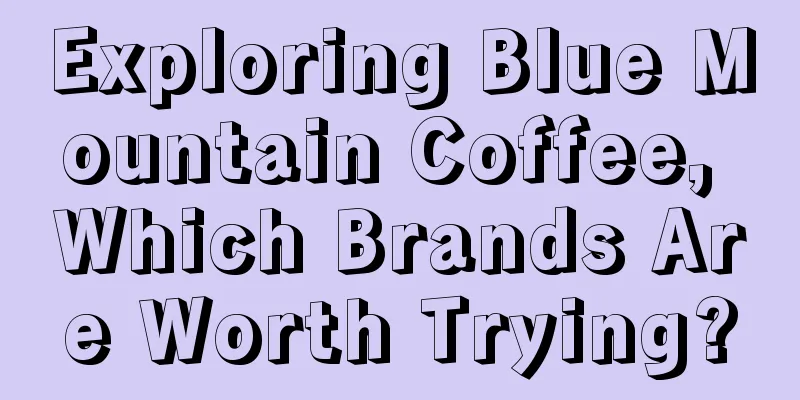 Exploring Blue Mountain Coffee, Which Brands Are Worth Trying?