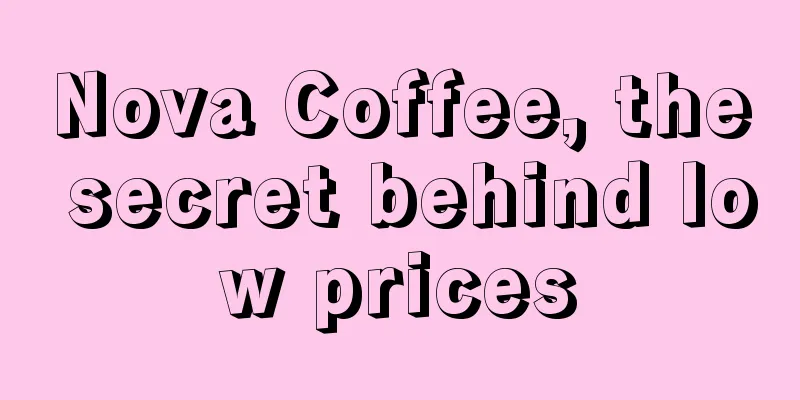 Nova Coffee, the secret behind low prices