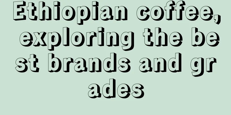 Ethiopian coffee, exploring the best brands and grades