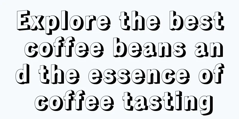 Explore the best coffee beans and the essence of coffee tasting