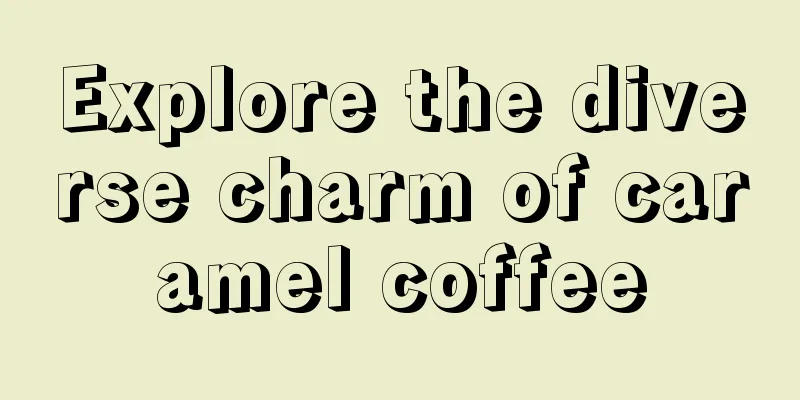 Explore the diverse charm of caramel coffee