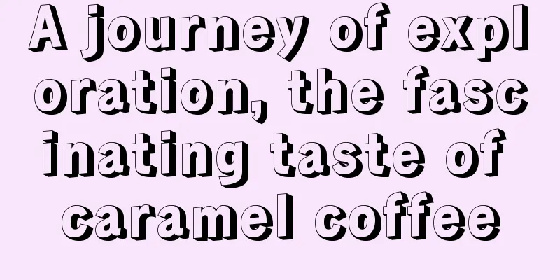 A journey of exploration, the fascinating taste of caramel coffee