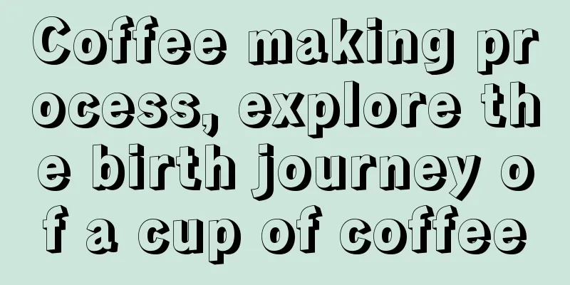 Coffee making process, explore the birth journey of a cup of coffee