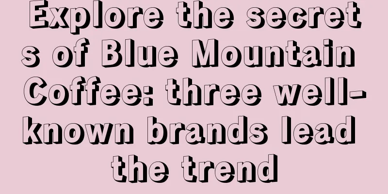 Explore the secrets of Blue Mountain Coffee: three well-known brands lead the trend