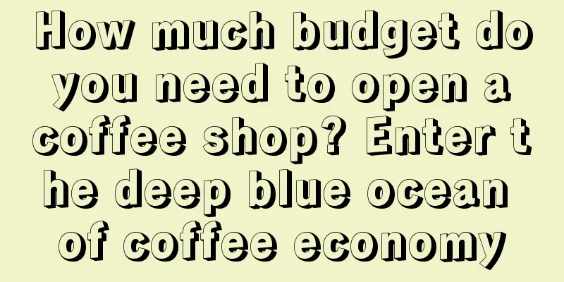 How much budget do you need to open a coffee shop? Enter the deep blue ocean of coffee economy