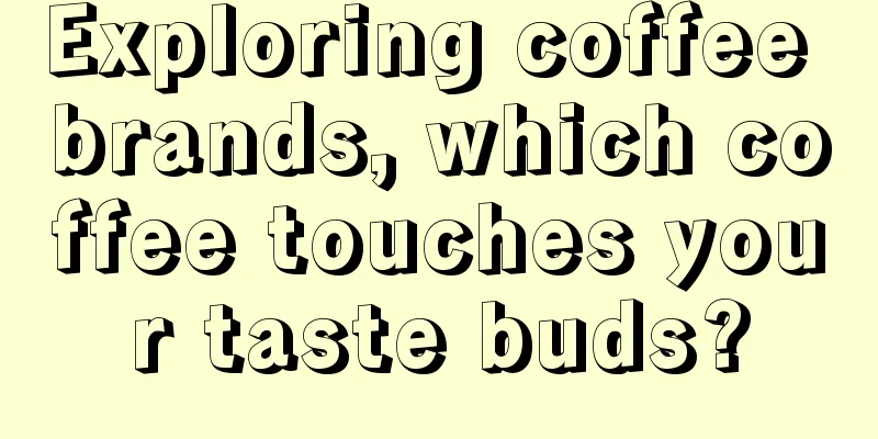 Exploring coffee brands, which coffee touches your taste buds?