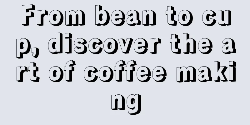 From bean to cup, discover the art of coffee making