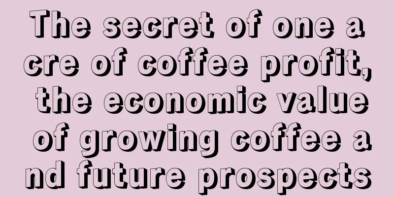 The secret of one acre of coffee profit, the economic value of growing coffee and future prospects