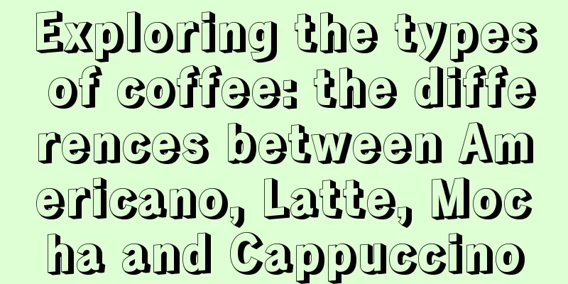 Exploring the types of coffee: the differences between Americano, Latte, Mocha and Cappuccino