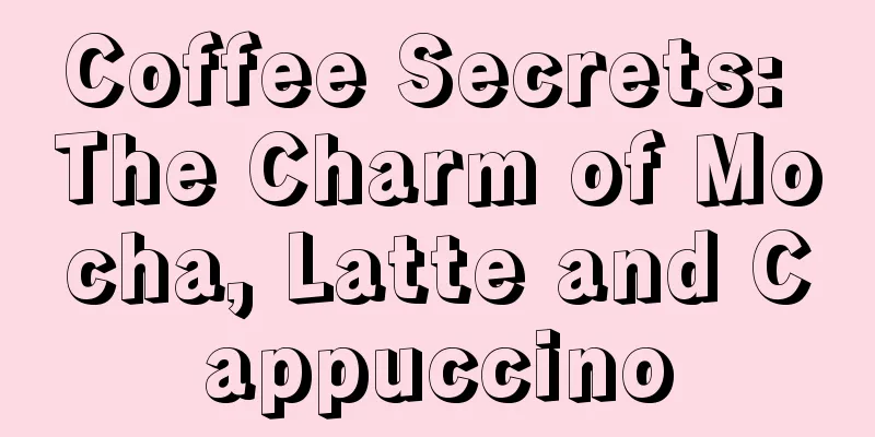 Coffee Secrets: The Charm of Mocha, Latte and Cappuccino