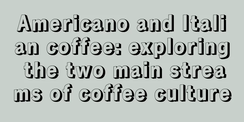 Americano and Italian coffee: exploring the two main streams of coffee culture