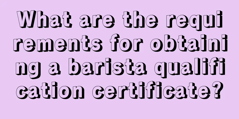 What are the requirements for obtaining a barista qualification certificate?